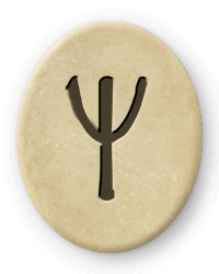 Die Futhark Rune Algiz und Scorpio