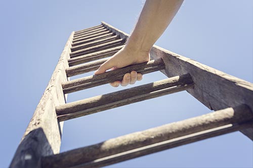 Find out about your career opportunities with Tarot.co.uk and online tarot readings!